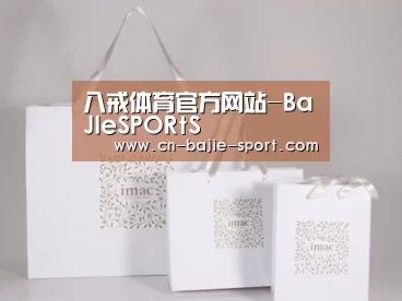 项目名称十一