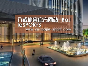 案例展示二