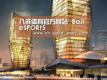 案例展示三